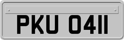 PKU0411