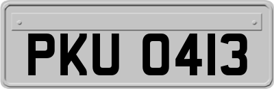 PKU0413
