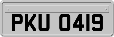 PKU0419