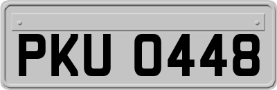 PKU0448
