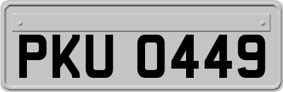 PKU0449