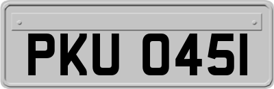 PKU0451