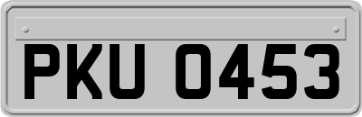PKU0453