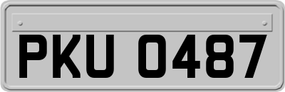 PKU0487
