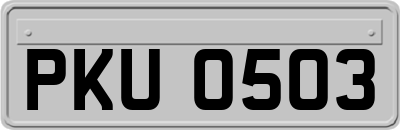 PKU0503