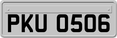 PKU0506