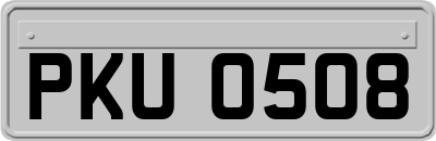 PKU0508