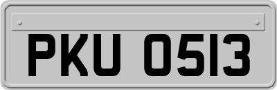 PKU0513