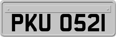 PKU0521