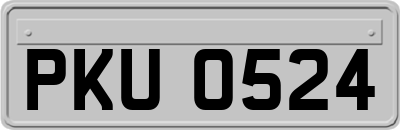 PKU0524