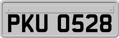 PKU0528