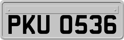 PKU0536