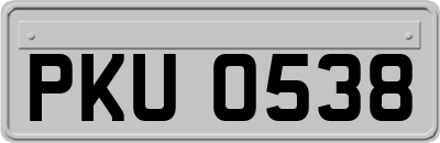 PKU0538
