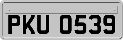 PKU0539