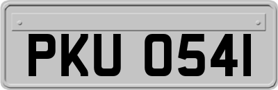 PKU0541