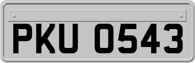 PKU0543