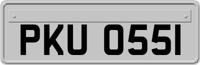 PKU0551