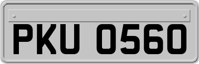 PKU0560