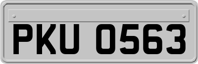 PKU0563