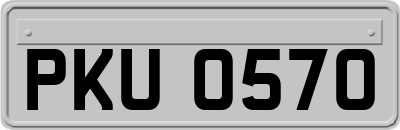 PKU0570