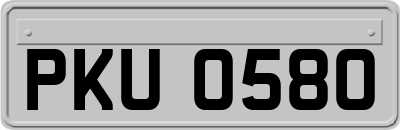 PKU0580