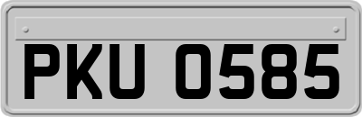 PKU0585