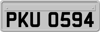 PKU0594