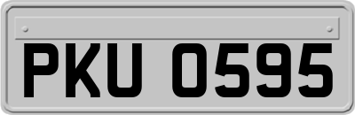 PKU0595