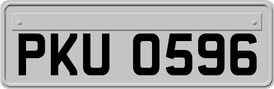 PKU0596