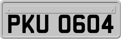 PKU0604