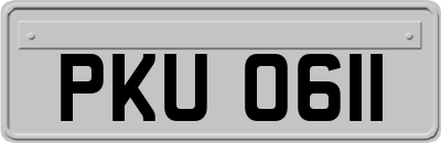 PKU0611