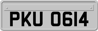 PKU0614