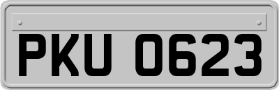 PKU0623