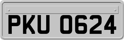 PKU0624