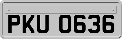 PKU0636