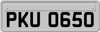 PKU0650