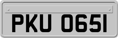 PKU0651