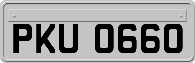 PKU0660