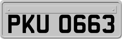 PKU0663