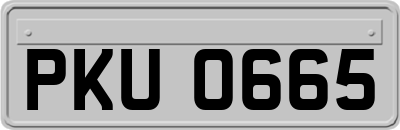 PKU0665