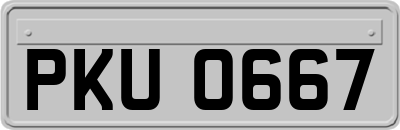PKU0667