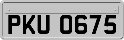 PKU0675