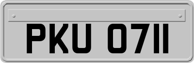 PKU0711