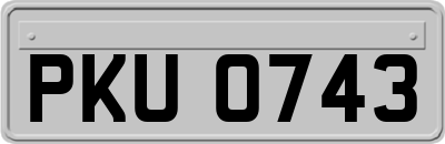 PKU0743