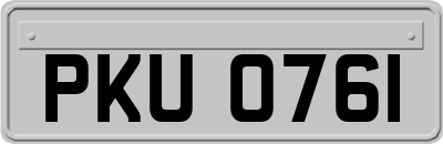 PKU0761