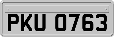 PKU0763