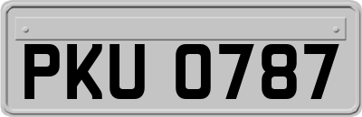 PKU0787