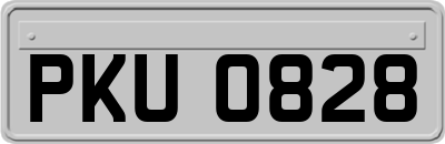 PKU0828