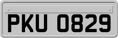 PKU0829