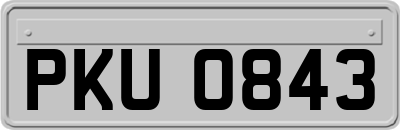 PKU0843